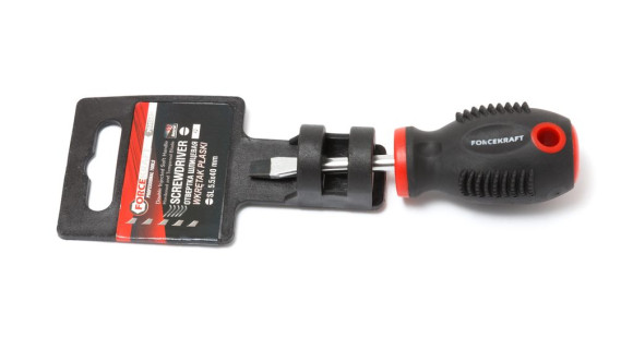 screwdriver slotted magnetic "profi" s2 5.5х40mm, in plastic holder